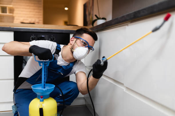 Best Flea Control Services  in Mabscott, WV